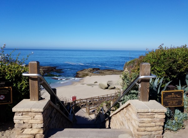 Treasure Island Park Laguna Beach - Laguna Beach Community