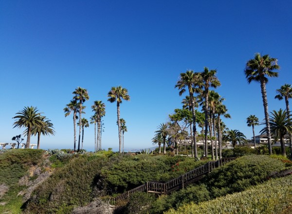 Treasure Island Park Laguna Beach California LagunaBeachCommunity.com