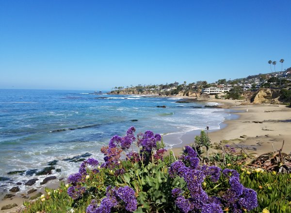 North Laguna Beach, Coastline View of Picnic Beach in Heisler Park, North Laguna Beach Neighborhoods