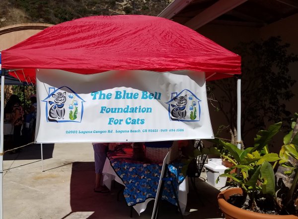 Laguna Beach Pet Parade and Chili Cook-Off Blue Bell Foundation LagunaBeachCommunity.com