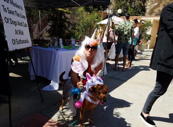 Laguna Beach Pet Parade and Chili Cook-Off LagunaBeachCommunity.com