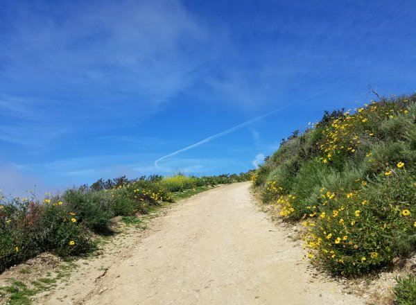 Laguna Coast Wilderness Park Laguna Beach LagunaBeachCommunity.com