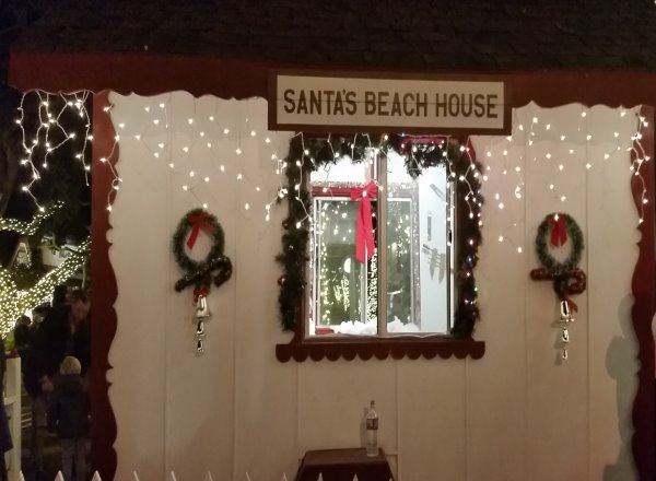 Laguna Beach Hospitality Night Downtown Laguna Beach California Santas Beach House Christmas Tree Lighting